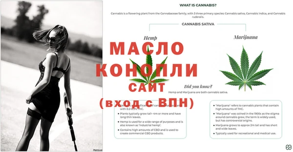 COCAINE Бородино