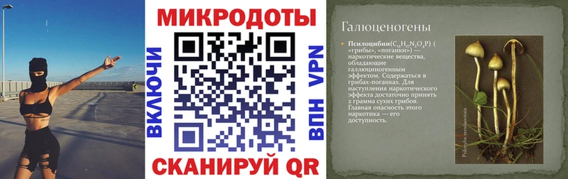 Галлюциногенные грибы Psilocybe  продажа наркотиков  Верхоянск 